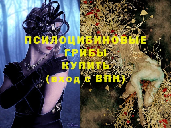 Альфа ПВП Алексин