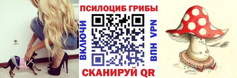Галлюциногенные грибы мицелий  Петровск-Забайкальский 